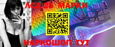 стафф Славгород