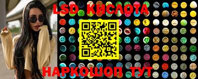 стафф Славгород