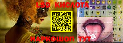 стафф Славгород