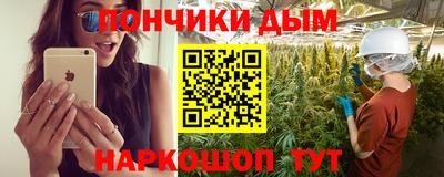индика Северобайкальск