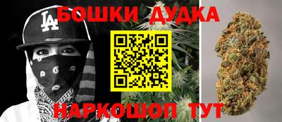 индика Северобайкальск