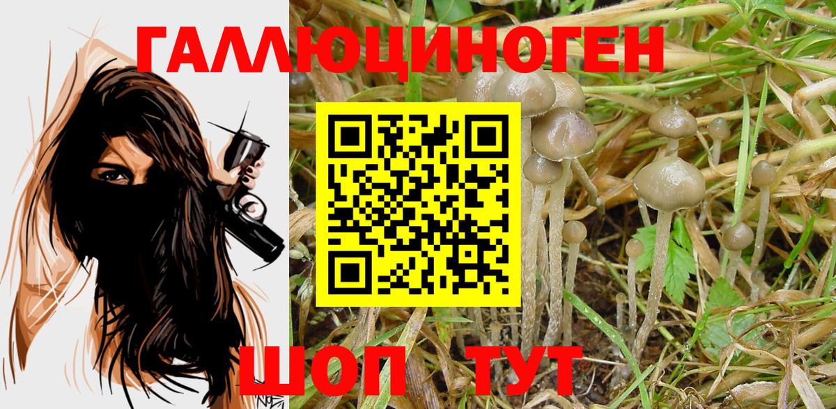 Галлюциногенные грибы мицелий  Галлюциногенные грибы MAGIC MUSHROOMS  Отрадный  Вход с VPN 