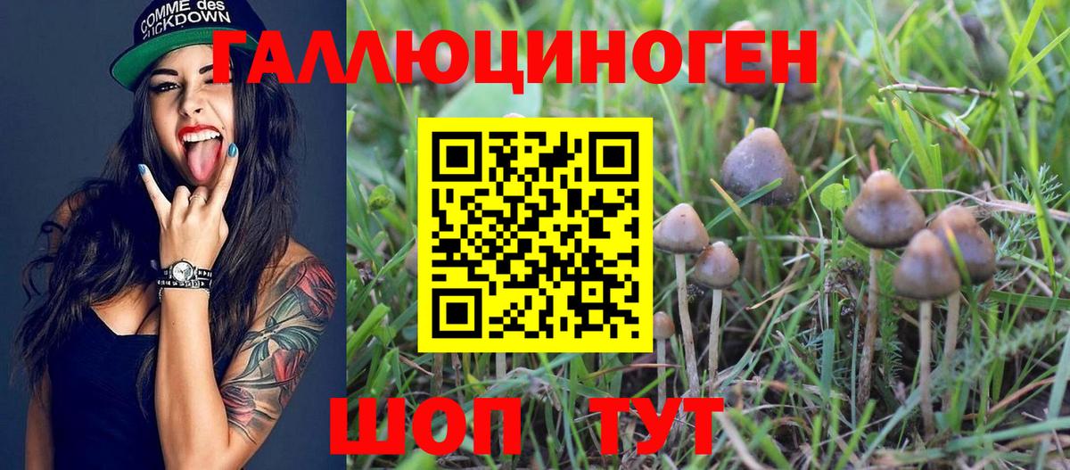 Галлюциногенные грибы прущие грибы Отрадный